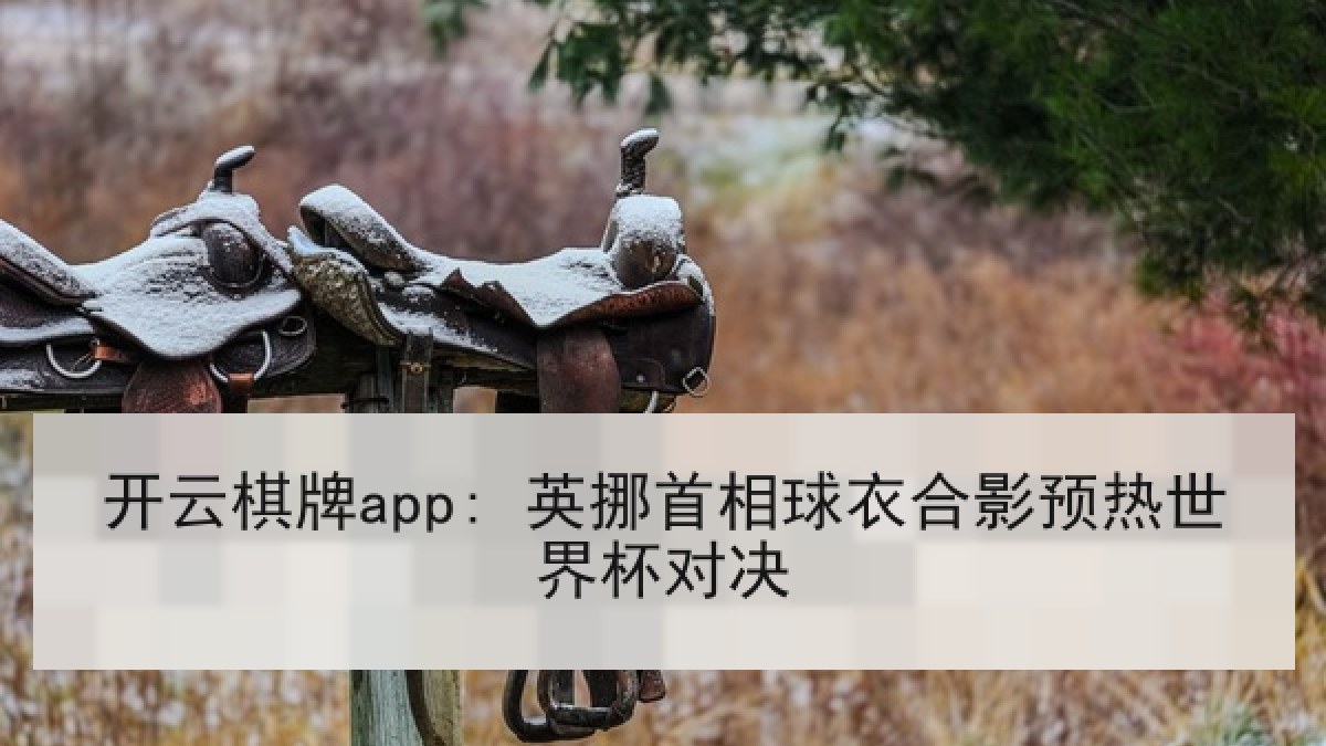 开云棋牌app: 英挪首相球衣合影预热世界杯对决 开云棋牌app: 英挪首相球衣合影预热世界杯对决