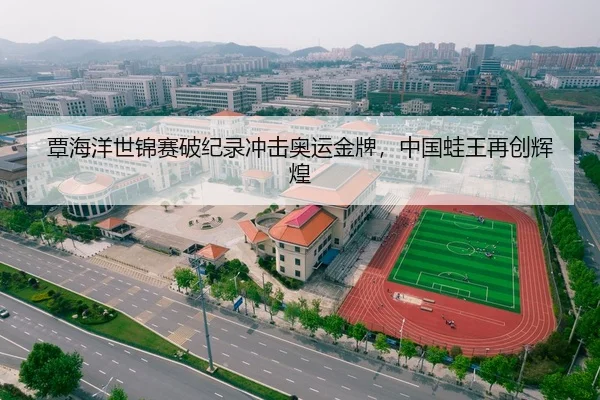 覃海洋世锦赛破纪录冲击奥运金牌，中国蛙王再创辉煌