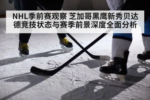 NHL季前赛观察 芝加哥黑鹰新秀贝达德竞技状态与赛季前景深度全面分析